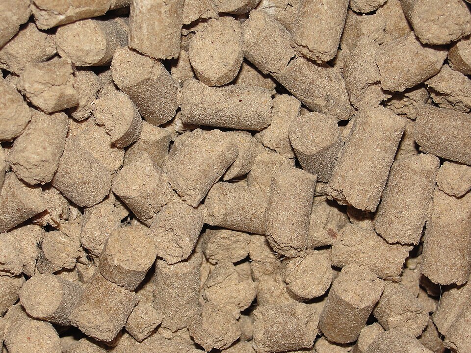 Compound Cattle Feed (पशु आहार) — Surtaru Impex