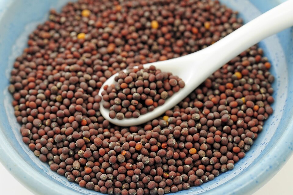 Mustard Cake (सरसों खली) — Surtaru Impex